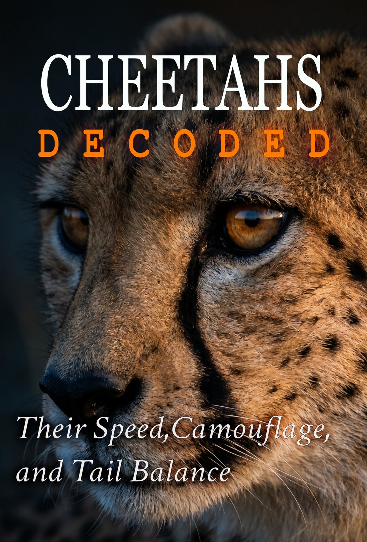 Cheetahs Decoded book cover