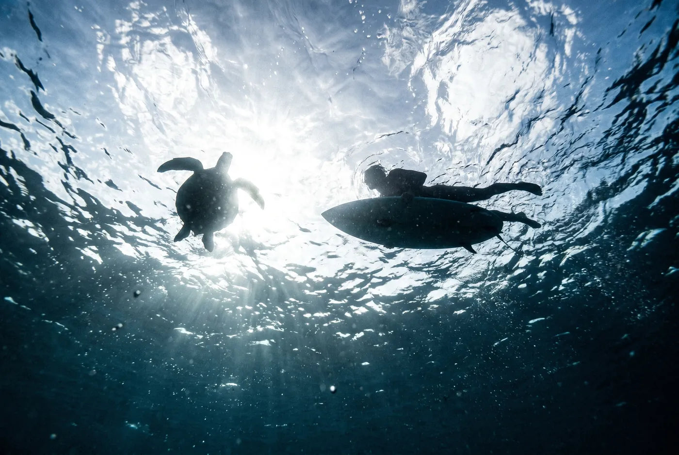 Underwater view from a shark’s point of view through blue open water